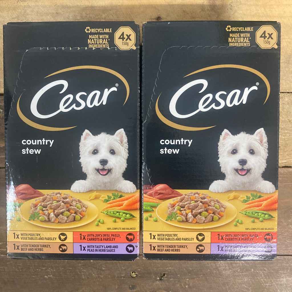 8x Cesar Adult Wet Dog Food Country Stew Special Selection (2 Boxes of ...