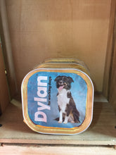 Dylan Complete Food for Working Dogs 3x300g
