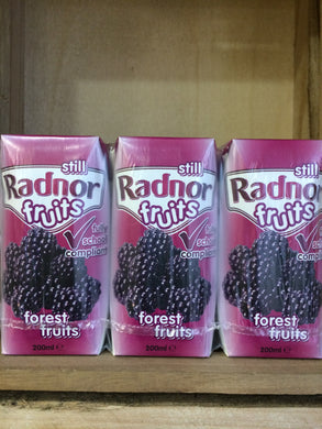 Radnor Fruits Forest Fruits Case 24 x 200ml Drink