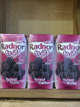 Radnor Fruits Forest Fruits 3 x 200ml Drink